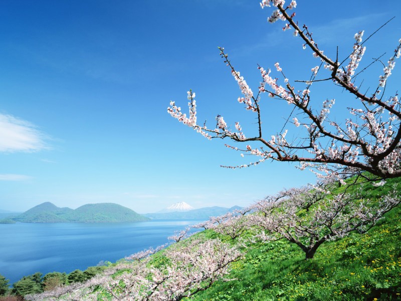 相鄰建房用地糾紛案